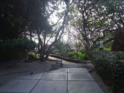 DSCF1816.jpg