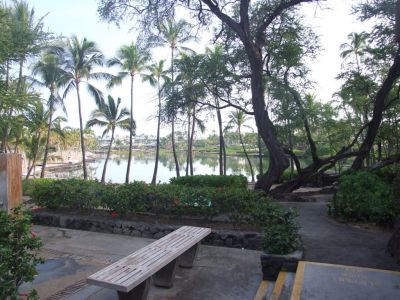 DSCF1817.jpg