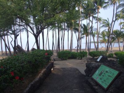 DSCF1818.jpg