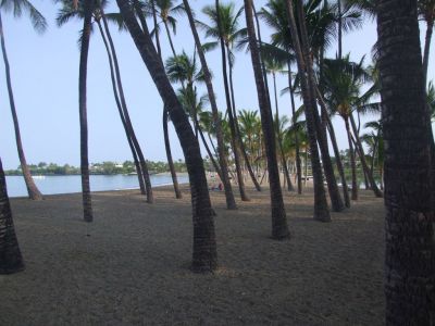 DSCF1819.jpg