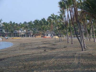 DSCF1822.jpg