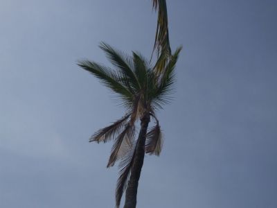 DSCF1829.jpg