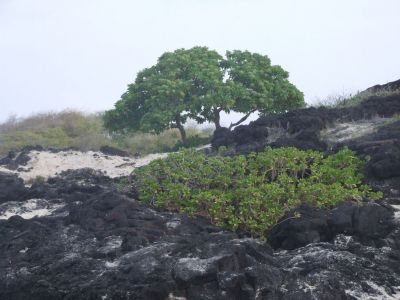 DSCF1869.jpg