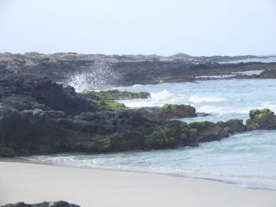 DSCF1870.jpg