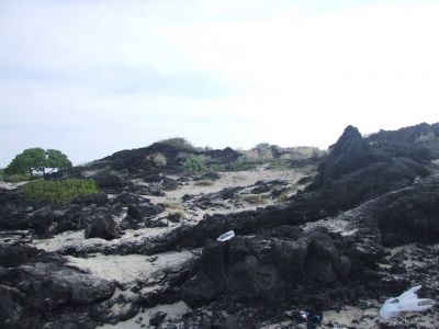 DSCF1873.jpg