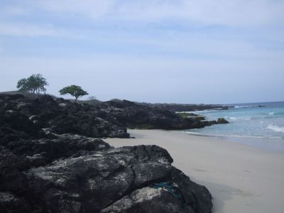 DSCF1874.jpg