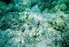 705396-R1-01-0A.jpg