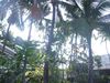 DSCF1751.jpg