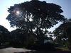 DSCF1774.jpg