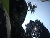 DSCF1775.jpg