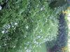 DSCF1777.jpg
