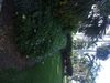 DSCF1778.jpg