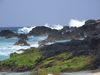 DSCF1794.jpg