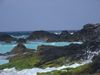DSCF1795.jpg