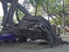 DSCF1821.jpg
