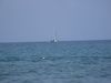 DSCF1826.jpg