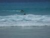 Filename=DSCF1887.jpg
Filesize=94KiB
Dimensions=1024x768
Date added=Mar 11, 2018 DSCF1887.jpg