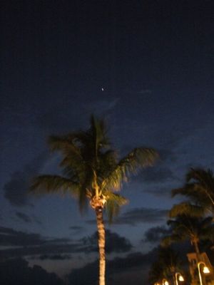 Image00086.jpg