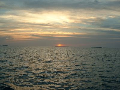 DSCF0095.jpg