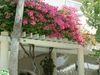 DSCF0072.jpg
