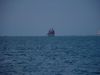 DSCF0096.jpg