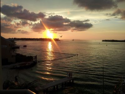 20120902_193139.jpg