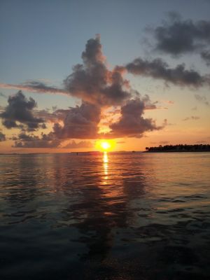 20120903_193516.jpg