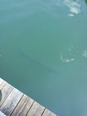 20120906_151803.jpg