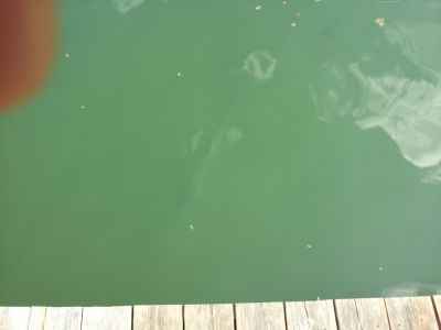 20120906_151819.jpg