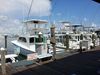 Filename=20120906_151000.jpg
Filesize=271KiB
Dimensions=1024x768
Date added=Mar 11, 2018 20120906_151000.jpg