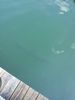 Filename=20120906_151803.jpg
Filesize=74KiB
Dimensions=576x768
Date added=Mar 11, 2018 20120906_151803.jpg