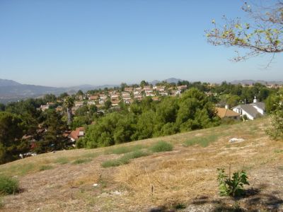 Image00005.jpg
