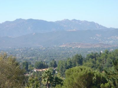 Image00007.jpg