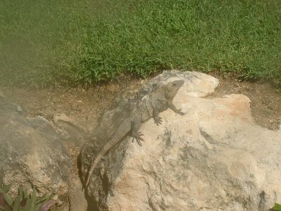 DSCF0033.jpg