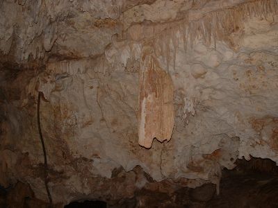 DSCF0073.jpg