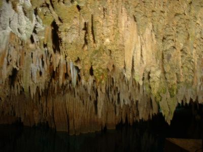 DSCF0078.jpg
