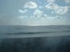DSCF0014.jpg