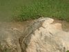 DSCF0033.jpg