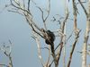 DSCF0046.jpg