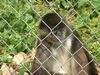 DSCF0049.jpg