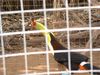 DSCF0067.jpg