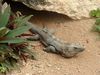 Filename=DSCF0096.jpg
Filesize=223KiB
Dimensions=800x600
Date added=Mar 11, 2018 DSCF0096.jpg