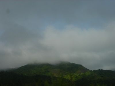 DSC00017.jpg