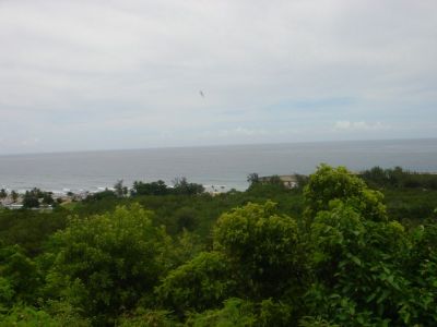 DSC00047.jpg