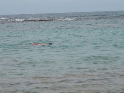 DSC00049.jpg
