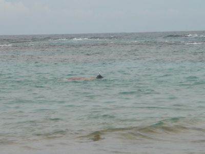 DSC00050.jpg