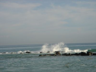 DSC00056.jpg