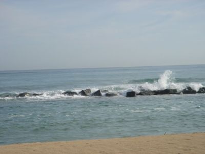 DSC00057.jpg