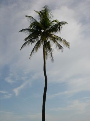 DSC00059.jpg