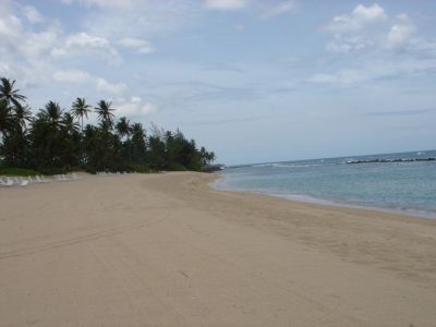 DSC00077.jpg